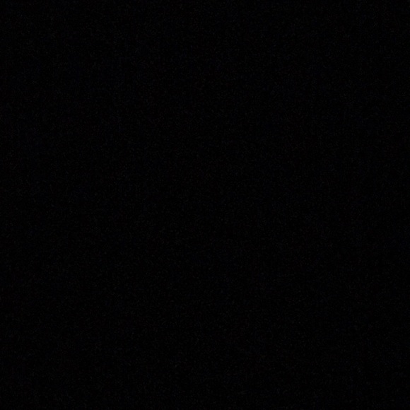 Meet your Posher, Lily - Picture 1 of 1